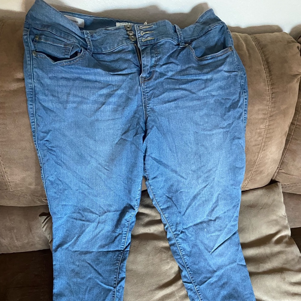 Torrid jeggings